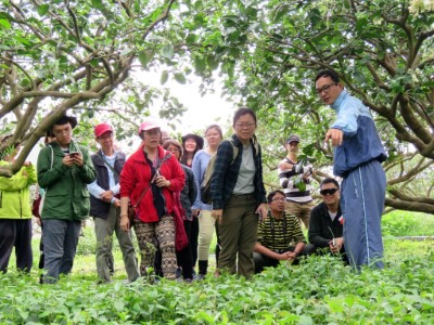 1070929 柚子新樂園柚說柚笑甜蜜蜜(園區導覽介紹)